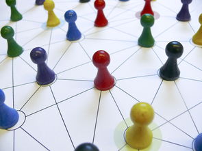 九游在线玩-中国篮球青训教练员能力提升路径,篮球青训师的待遇怎么样